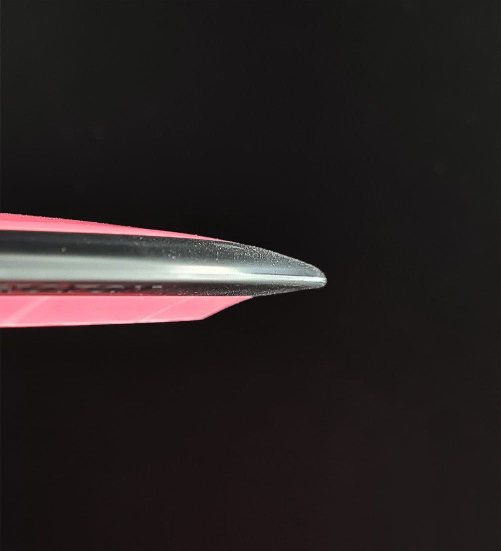 Fotonfission - Elaine King