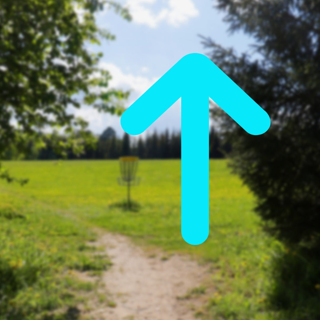 Neutralt flygande discgolf discar