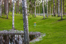 Pro Target - 18 stycken - Tävlingskorg - Korg för discgolfbana