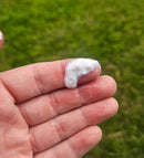 Flydende kridt - Lilly EQ