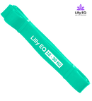 Modstandsbånd (16-39 kg)